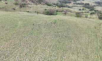 Imagem 6: EXCELENTE FAZENDA A VENDA EM CAPÃO BONITO - SP* ?? Formação: Pecuária de Corte Área T