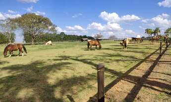 Imagem 4: EXCELENTE HARAS A VENDA EM ITAPETININGA-SP* ?? ? Formação: Haras e Feno Área Total: 62