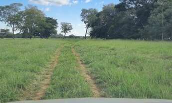 Imagem 4: Fazenda à venda em Cocalinho-MT, Zona Rural: 3 quartos, 2 salas, 2 banheiros, 3 vagas de g