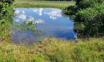 Imagem 7: Fazenda à venda em Cocalinho-MT, Zona Rural: 3 quartos, 2 salas, 2 banheiros, 3 vagas de g