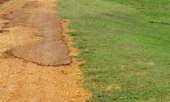 Imagem: Fazenda 56alqueire Casa sede 100 metros