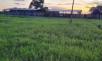 Imagem: Fazenda à venda em Cocalinho-MT, Zona Rural