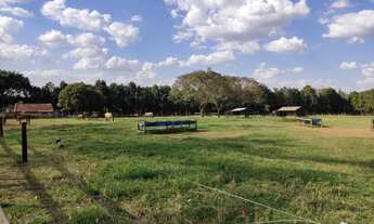 Imagem 5: EXCELENTE HARAS A VENDA EM ITAPETININGA-SP* ?? ? Formação: Haras e Feno Área Total: 62