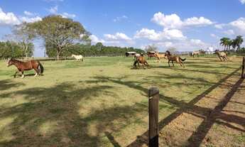 Imagem 3: EXCELENTE HARAS A VENDA EM ITAPETININGA-SP* ?? ? Formação: Haras e Feno Área Total: 62