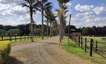 Imagem 6: EXCELENTE HARAS A VENDA EM ITAPETININGA-SP* ?? ? Formação: Haras e Feno Área Total: 62