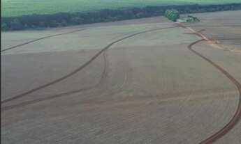 Imagem: FAZENDA NA REGIAO DE ITAPETININGA/SP AREA