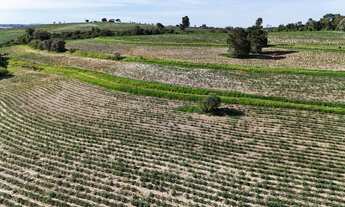 Imagem 2: EXCELENTE SÍTIO A VENDA NA REGIÃO DE SOROCABA-SP* ?? Área Total: 12,42 Alqueires ou 30