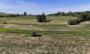 Imagem 4: EXCELENTE SÍTIO A VENDA NA REGIÃO DE SOROCABA-SP* ?? Área Total: 12,42 Alqueires ou 30