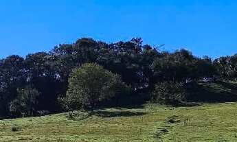 Imagem 3: Sítio com ((65. 000.00 mil MTS)) dupla aptidão ( escriturada )em (Angatuba) com a vista pr