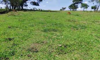 Imagem 5: Sítio no município de Itapetininga próximo da (usina vista alegre)com 2 alqueires ( escrit