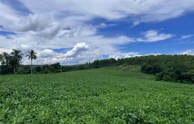 Imagem 3: ? Sítio à venda ? Angatuba/SP