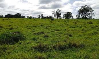 Imagem 3: Sítio com ( 3 alqueires dupla aptidão no bairro dos modestos) município de (Angatuba) sem