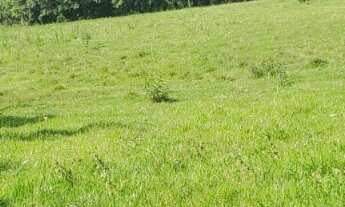 Imagem 4: Sítio com (3 alqueires dupla aptidão no bairro do arealzinho (( município de Angatuba)) te