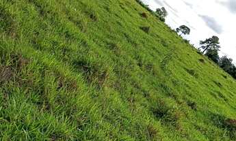 Imagem 2: Sítio com ( 3 alqueires dupla aptidão no bairro dos modestos) município de (Angatuba) sem