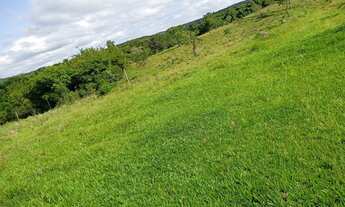 Imagem 4: Sítio com ( 3 alqueires dupla aptidão no bairro dos modestos) município de (Angatuba) sem