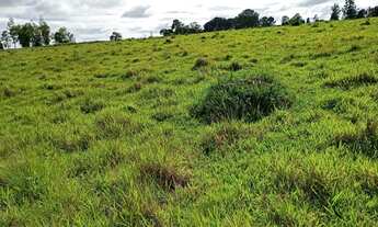 Imagem 7: Sítio com ( 3 alqueires dupla aptidão no bairro dos modestos) município de (Angatuba) sem