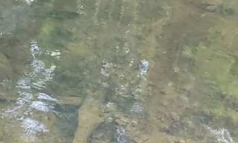 Imagem 6: Sítio com (3 alqueires dupla aptidão no bairro do arealzinho (( município de Angatuba)) te