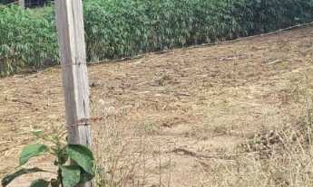 Imagem: Sítio com (3 alqueires dupla aptidão no