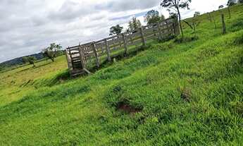 Imagem 5: Sítio com ( 3 alqueires dupla aptidão no bairro dos modestos) município de (Angatuba) sem