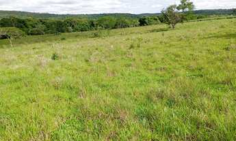 Imagem 6: Sítio com ( 3 alqueires dupla aptidão no bairro dos modestos) município de (Angatuba) sem
