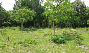 Imagem 2: Sítio 169400m2 Casa 70m2 2 Dorms,Sala,Cozinha,Banheiro