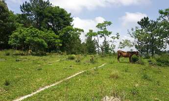 Imagem 3: Sítio 169400m2 Casa 70m2 2 Dorms,Sala,Cozinha,Banheiro