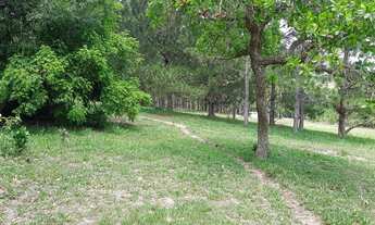 Imagem 6: Sítio 169400m2 Casa 70m2 2 Dorms,Sala,Cozinha,Banheiro