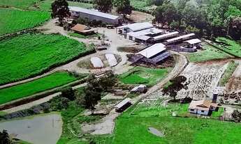 Imagem: Fazenda Pilar do Sul 55 Alqueires,6 Tratores,2