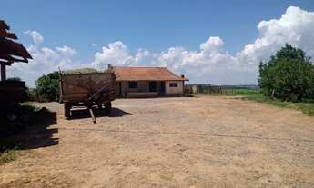 Imagem 2: Fazenda Pilar do Sul 55 Alqueires,6 Tratores,2 Vagões Grandes,Plantadeira 4 Linhas,5 Casas