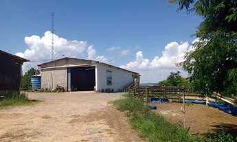 Imagem 3: Fazenda Pilar do Sul 55 Alqueires,6 Tratores,2 Vagões Grandes,Plantadeira 4 Linhas,5 Casas