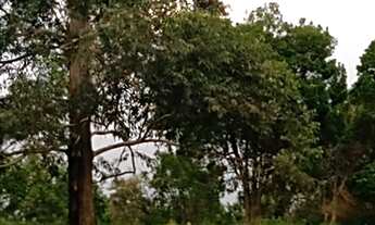 Imagem 2: 14 Alqueires região Angatuba SP com casa simples bão água luz, ótima localização, 10 km An