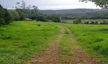 Imagem 3: 14 Alqueires região Angatuba SP com casa simples bão água luz, ótima localização, 10 km An