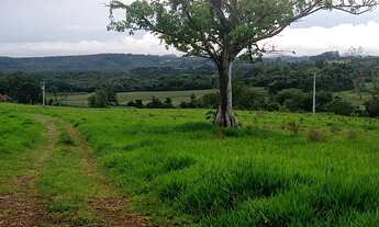 Imagem 4: 14 Alqueires região Angatuba SP com casa simples bão água luz, ótima localização, 10 km An