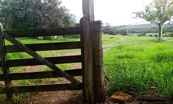 Imagem 7: 14 Alqueires região Angatuba SP com casa simples bão água luz, ótima localização, 10 km An