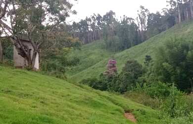Imagem 2: Sitío 9.5 Alqueires... Guapiara sp 500 metros do asfalto... Casa simples Rico em água loca