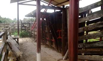 Imagem 3: Sítio com 16 Alqueires bom de água , ? cede com 3 Quartos toda avarandada falta acabamen