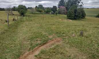 Imagem 2: Chácara 4,5 Alqueires Casa Simples e Boa,Poço Caipira Agua Cristalina,Corrego no Fundo,Fác