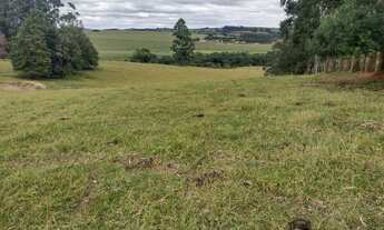 Imagem 4: Chácara 4,5 Alqueires Casa Simples e Boa,Poço Caipira Agua Cristalina,Corrego no Fundo,Fác