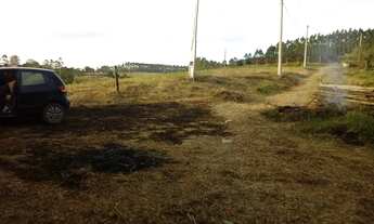 Imagem 6: Chácara 34000m2, 800mts do Asfalto,Casa Simples, 25 Kms da Cidade de São Miguel Arcanjo