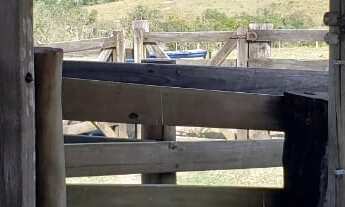 Imagem 4: Sítio 14,7 Alqueires, Casa Simples Caseiro, Rico Em Agua, 2 Rios Cortando a Propiedade