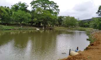 Imagem 4: Chácara 4,5 Alqueires 3 Casas Simples,Ótimo para Pesqueiro ou Loteamento