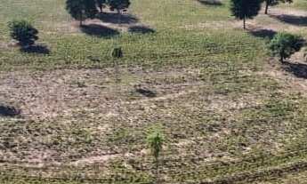 Imagem: Sítio 8 Alqueires, Sem Benfeitorias, Rio