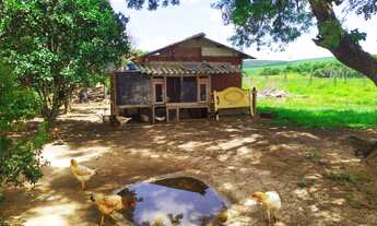 Imagem 4: Sítio 1 Alqueire, Boa Para Plantio, Casa Sede, Curral, Lago, Chiqueiro, Pomar, Piscina, Ch