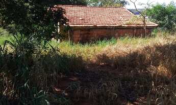 Imagem 2: Sítio 39 Alqueires, Cercada por Água, Bom de Topografia, Sem Benfeitorias, Energia Proxima