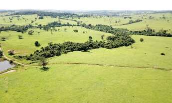 Imagem 4: Fazenda 174 Alqueires, Boa de Água, Casa Sede, Curral, Terra Vermelha de Culturão, Ótima p