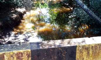 Imagem 3: Sítio 39 Alqueires, Cercada por Água, Bom de Topografia, Sem Benfeitorias, Energia Proxima