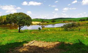 Imagem 2: Sítio 1 Alqueire, Boa Para Plantio, Casa Sede, Curral, Lago, Chiqueiro, Pomar, Piscina, Ch