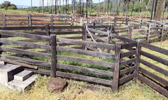 Imagem 3: Fazenda 260 Alqueires, Boa de Água com 5 Represas, Corrego Atravessando a Propiedade, 2 Ca