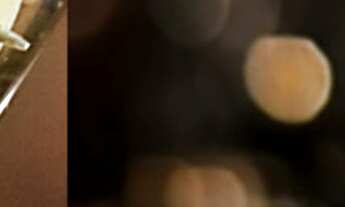 Imagem 2: Lançamento Still Nova Campinas Apartamentos de 40m2 a 59 m2, 1 ou 2 Dormitórios, Suíte, Ár