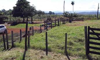 Imagem 2: Fazenda 260 Alqueires, Boa de Água com 5 Represas, Corrego Atravessando a Propiedade, 2 Ca